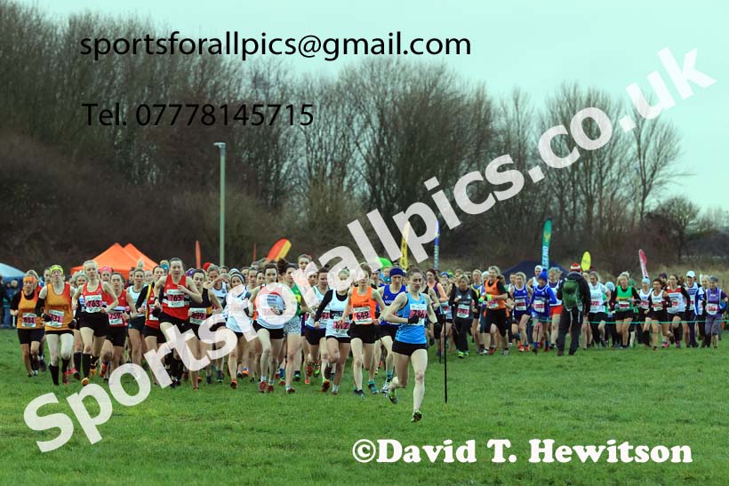 Senior womens 2023 North Eastern Cross Country Champs., Temple Park, South Shields. Photo: David T. Hewitson/Sports for All Pics